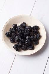 Image result for Rubus sectio