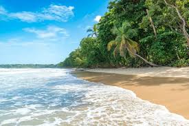 Image result for cahuita costa rica