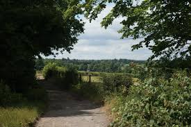 Image result for Fetcham Cannons