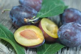 Attēlu rezultāti vaicājumam “Prunus domestica subsp. domestica leaf”