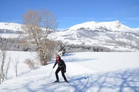 Image result for Scandinavian slope and cross country skiing