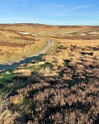 Image result for Carlton Moor Gliding Club Ltd