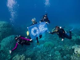 Image result for Great Western Divers