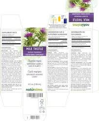 Attēlu rezultāti vaicājumam “Silybum marianum fruit”