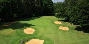 Image result for Downshire Golf Complex
