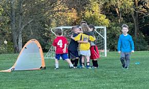 Image result for Netherne Community Amateur Sports Club