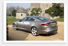 Image result for Silver Fox 2008 Jaguar