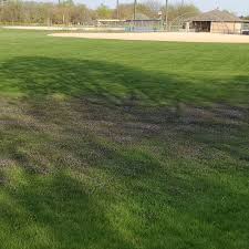 Image result for West Grimstead Badminton Club