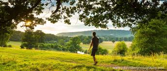 Image result for Mid Surrey Ramblers