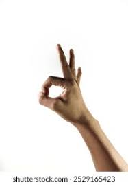 Image result for illuminati hand sign