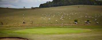 Image result for Royston Golf Club Ltd