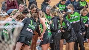 Image result for The Downs Netball Club