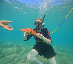 Image result for St. Albans Snorkelling Club (SASC)