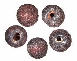 Attēlu rezultāti vaicājumam “Galium rivale fruit”