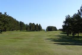 Image result for Garesfield Golf Club