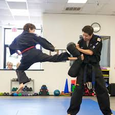 Image result for Skillz Martial Arts