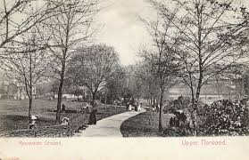 Image result for Norwood Grove Bowling Club