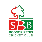 Image result for Bere Regis Cricket Club