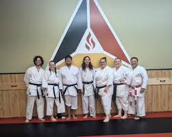 Image result for Hetton and Murton Karate Academy