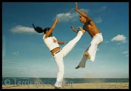 Image result for Brazilian-martial arts