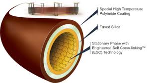 Image result for  g   c O ~