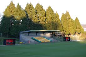 Image result for Ynysygerwn Cricket Club