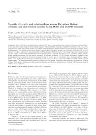 Attēlu rezultāti vaicājumam “Galium schultesii fruit”