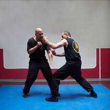 Image result for Windsor WingTsun Kung fu