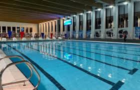 Image result for Ludlow Swimming Club