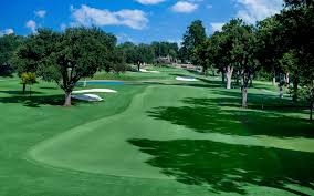 Image result for Prudhoe Golf Club