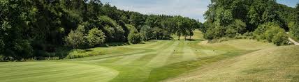 Image result for Greetham Valley Golf Club