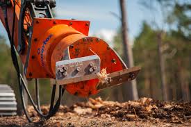 Image result for dipperfox tehron