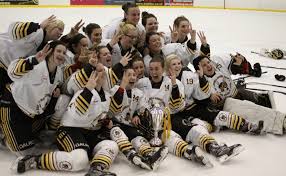 Image result for Cardiff Comets Ladies Ice Hockey
