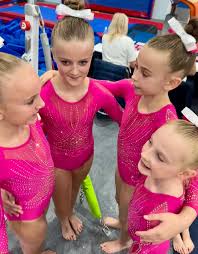 Image result for Wiltshire School Of Gym