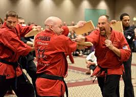 Image result for Combined self defence arts