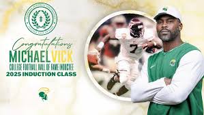 Image result for Michael Vick