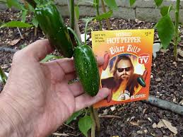 Afbeeldingsresultaat voor biker billy jalapeno hot pepper