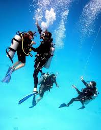 Image result for Deep Blue Diving