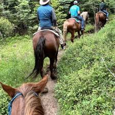 Image result for Old Park Riding Stables