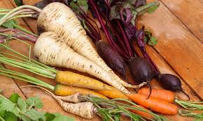 Image result for Pastinake