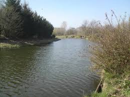 Image result for Bay Malton Angling Club