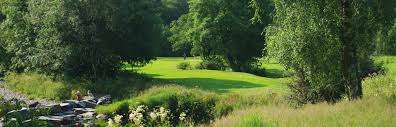 Image result for Betws-Y-Coed Golf Club