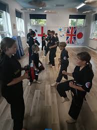 Image result for Scorpion Martial Arts Academy