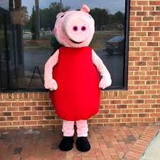 Image result for peppa pig costume
