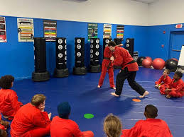 Image result for Skillz Martial Arts