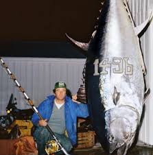 Image result for giant tuna