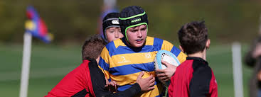 Image result for St Albans Rugby Football Sports & Social Club