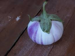 Afbeeldingsresultaat voor rosa bianca eggplant