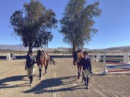 Image result for Woodhill Riding Club