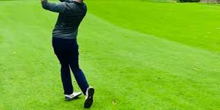 Image result for Wisley Sports & Social Club